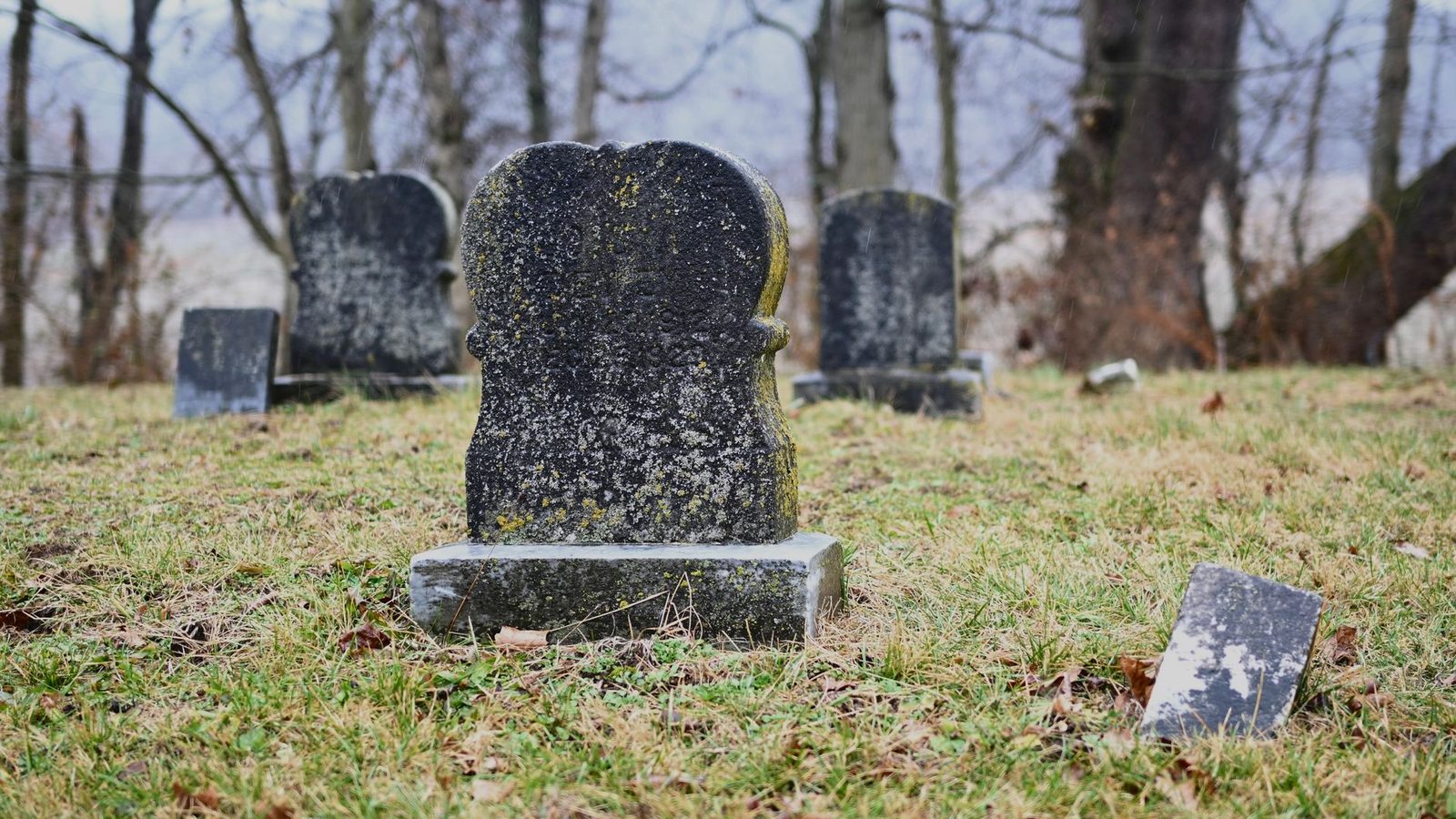 Weathered old headstones in a quiet woodland cemetery